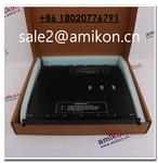 TRICONEX 8110 | sales2@amikon.cn | Large In Stock